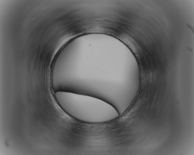 X0000092111000200709121126