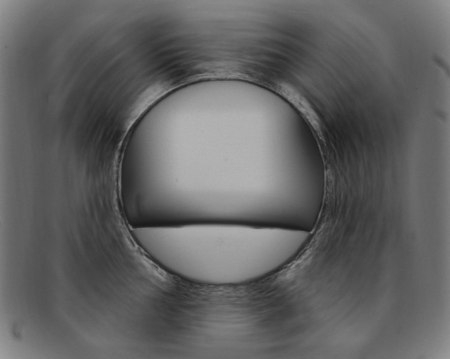 X0000092111002200709121126
