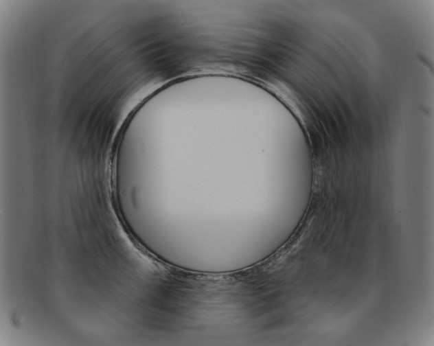 X0000092111003200709121126