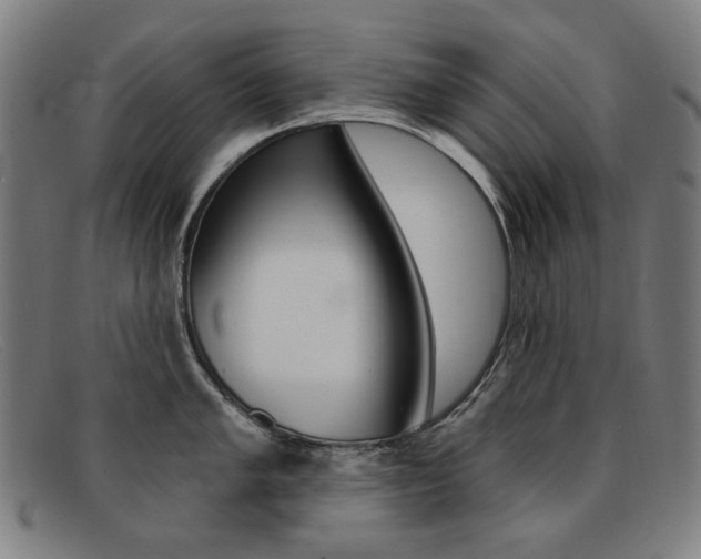 X0000092111005200709121126