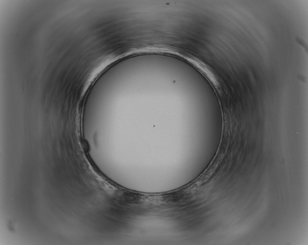 X0000092111006200709121126