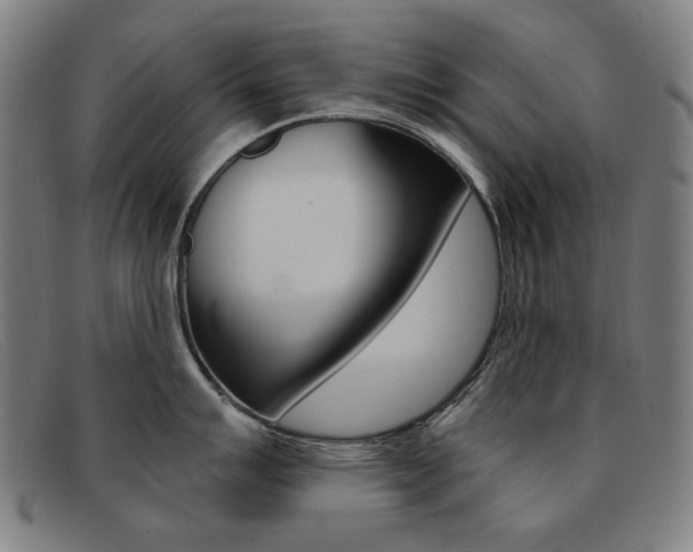 X0000092111007200709121126