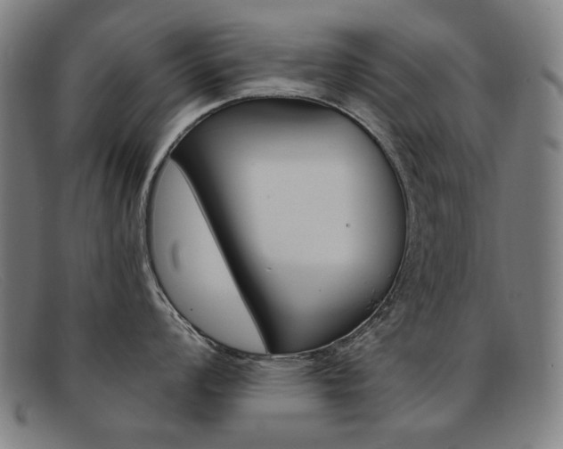 X0000092111008200709121126