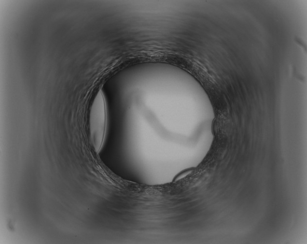 X0000092111009200709121125