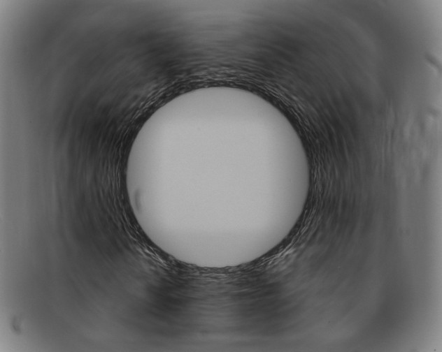 X0000092111010200709121125