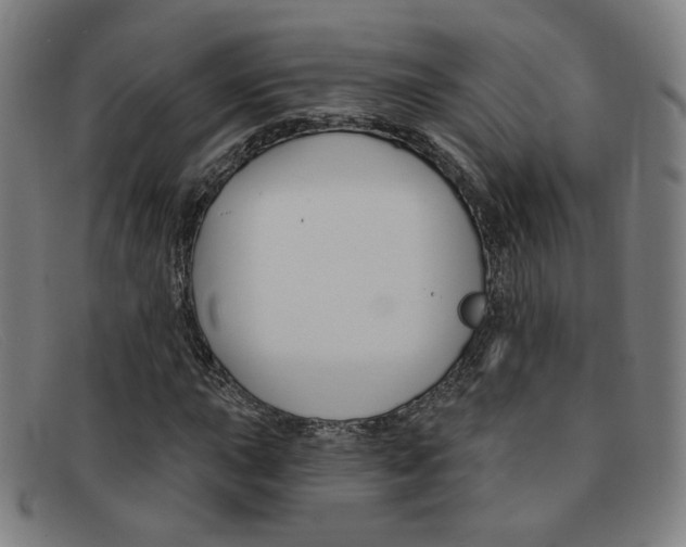 X0000092111015200709121125