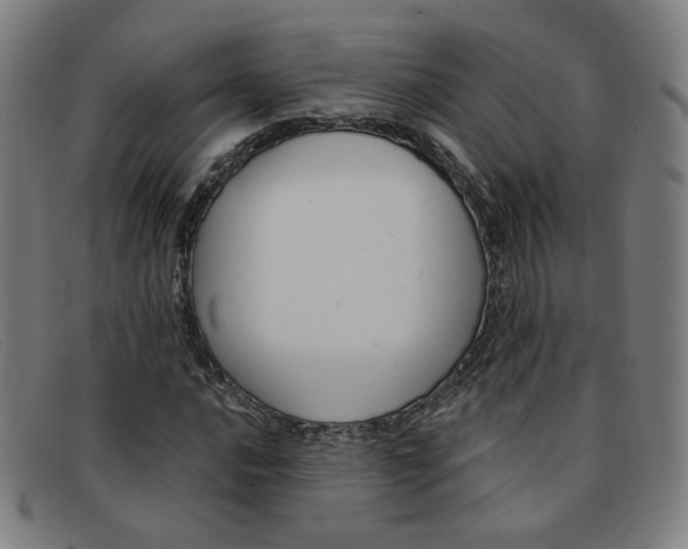 X0000092111016200709121125