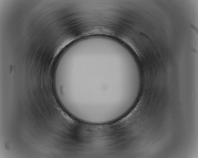 X0000092111018200709121125
