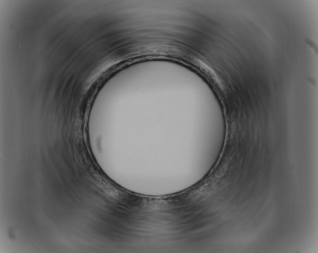 X0000092111019200709121125