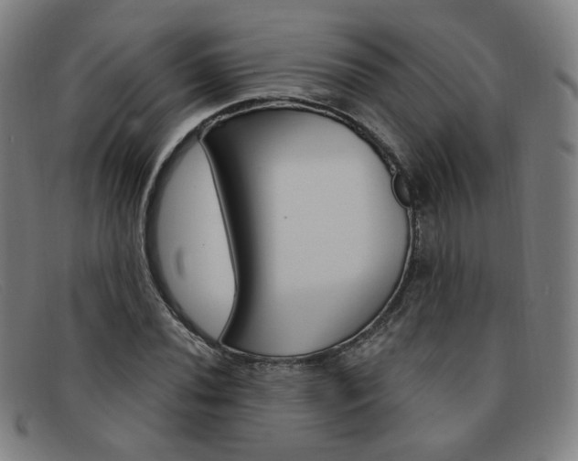 X0000092111020200709121125