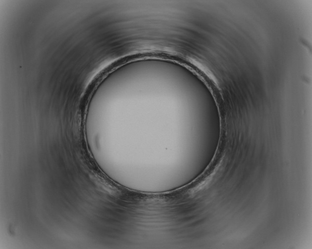 X0000092111021200709121125
