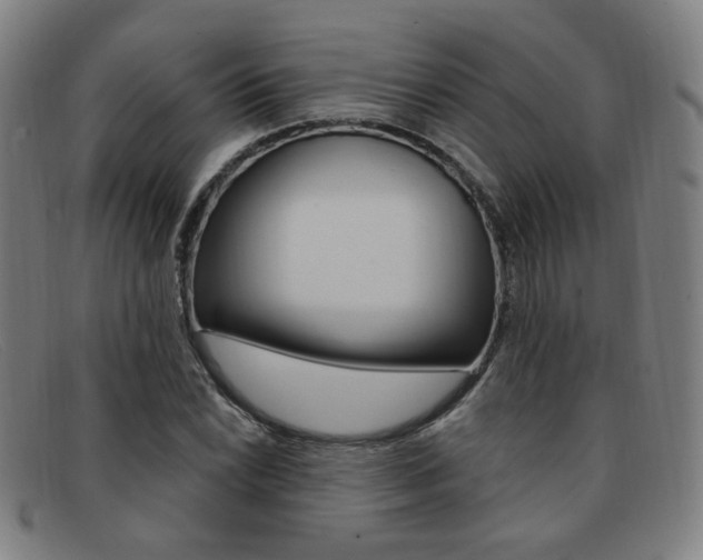 X0000092111022200709121125