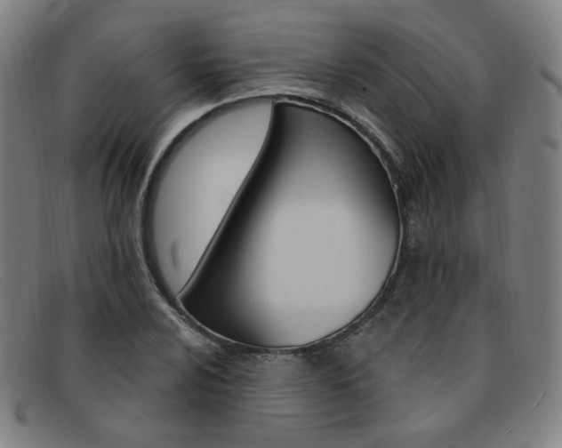 X0000092111024200709121125