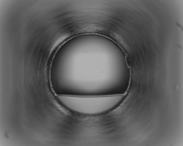 X0000092111026200709121125