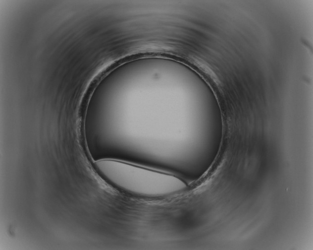 X0000092111029200709121126