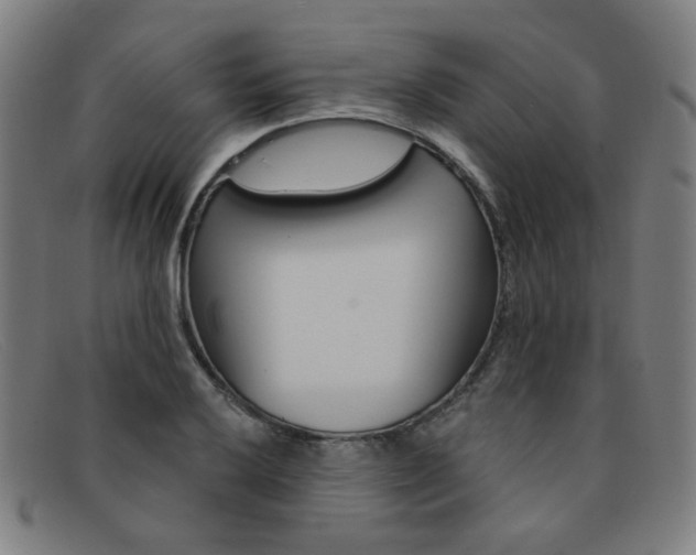 X0000092111032200709121126