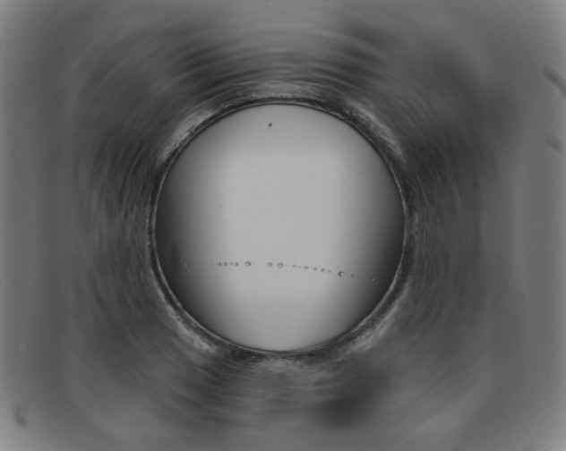 X0000092111033200709121126