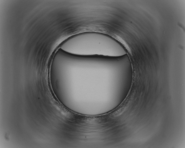 X0000092111035200709121126