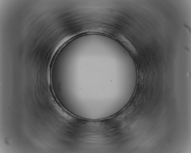 X0000092111036200709121126