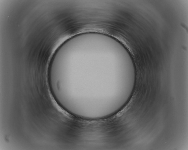 X0000092111038200709121126