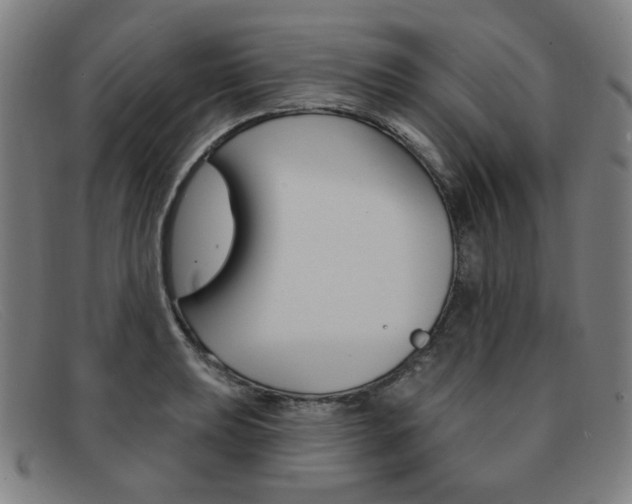 X0000092111039200709121126