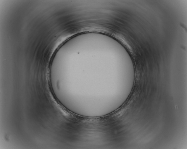 X0000092111040200709121126