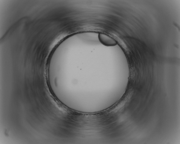 X0000092111043200709121126