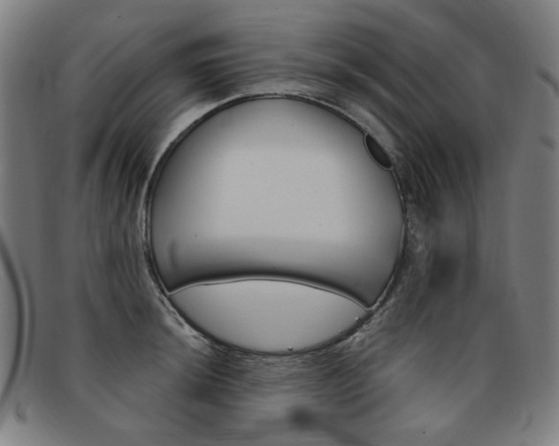 X0000092111044200709121126