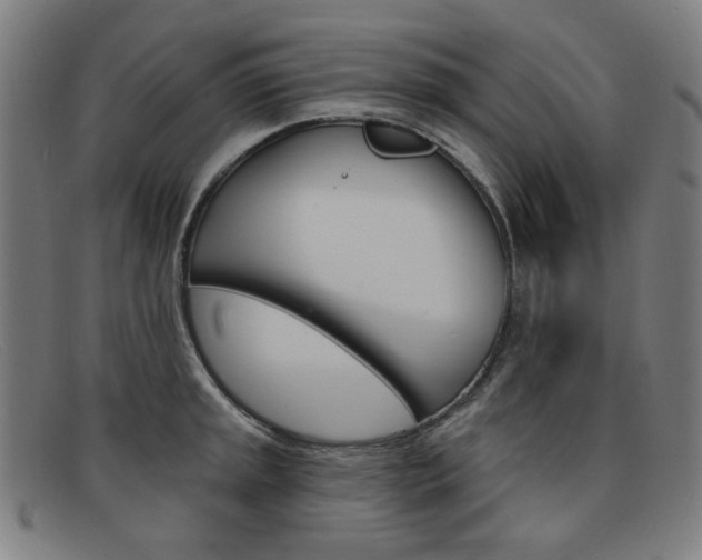 X0000092111045200709121126