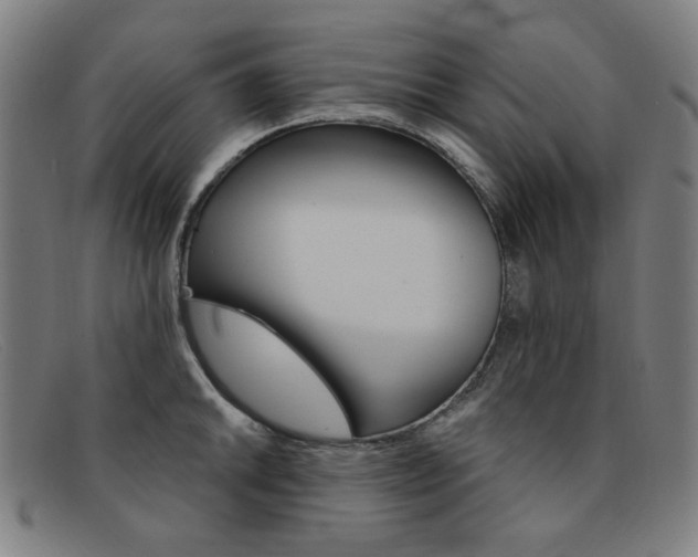 X0000092111046200709121126