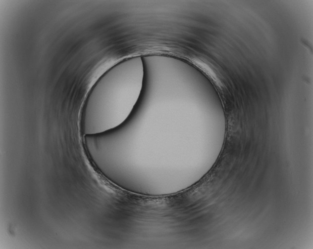 X0000092111047200709121126