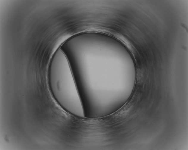 X0000092111048200709121126