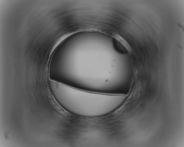 X0000092111052200709121126