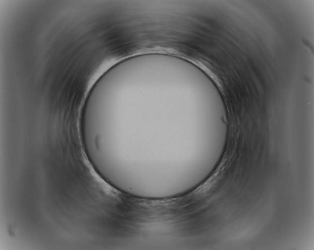 X0000092111054200709121126
