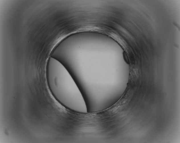 X0000092111055200709121126