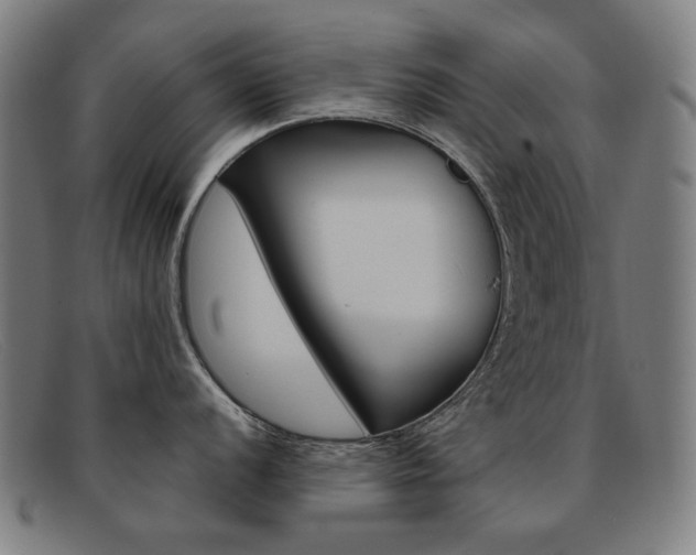 X0000092111056200709121126