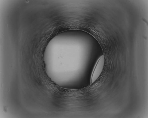 X0000092111057200709121125