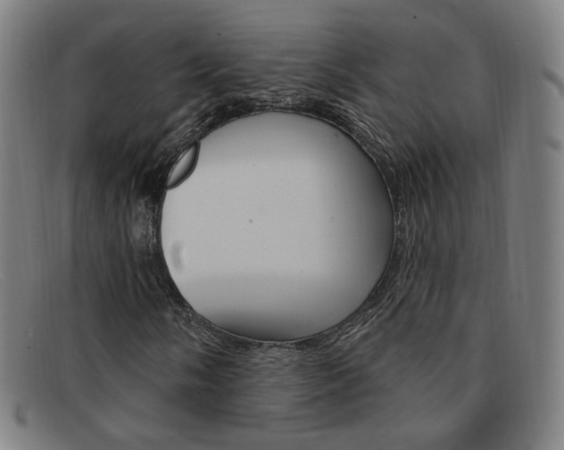 X0000092111058200709121125