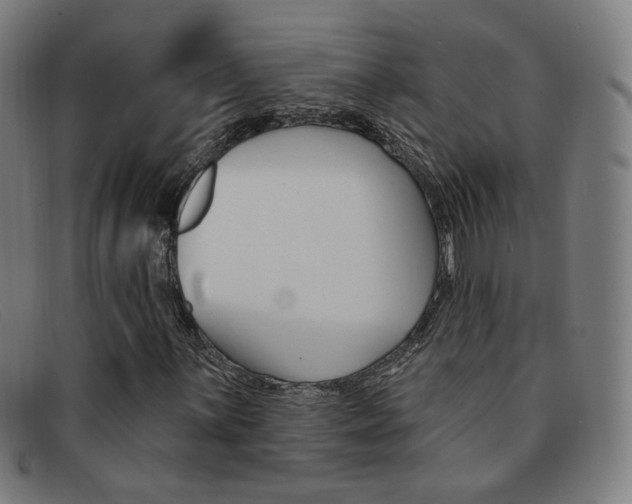 X0000092111059200709121125