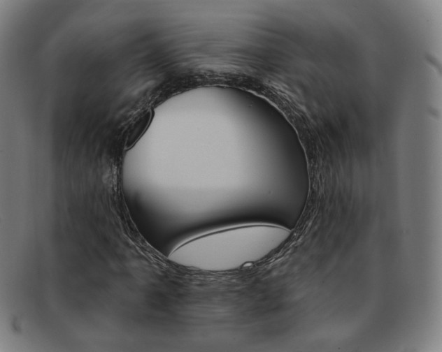 X0000092111061200709121125