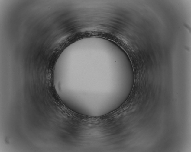 X0000092111062200709121125