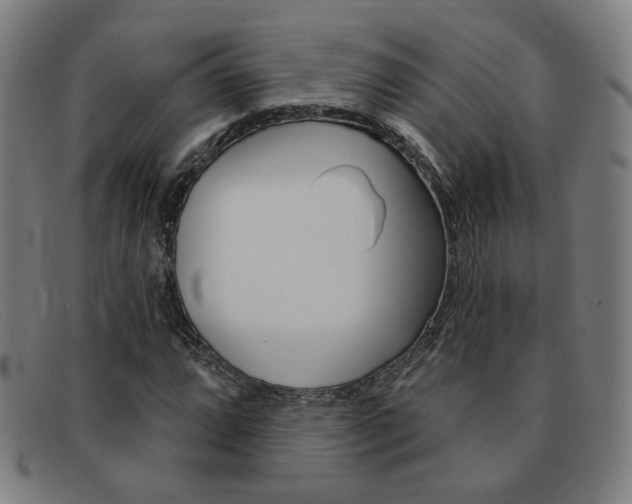 X0000092111064200709121125