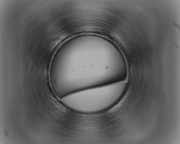 X0000092111065200709121125