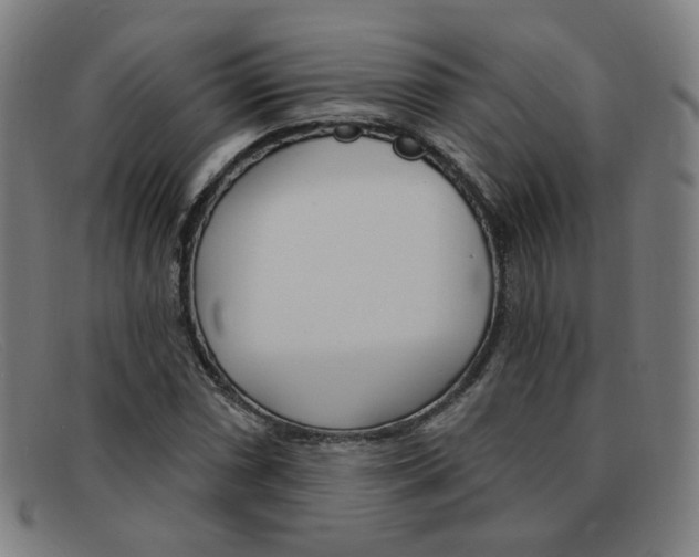 X0000092111066200709121125