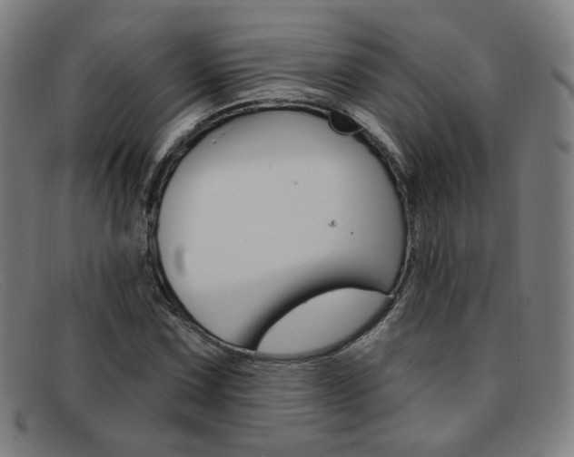 X0000092111067200709121125