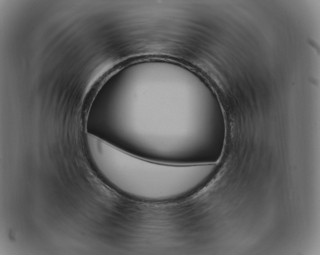 X0000092111069200709121125