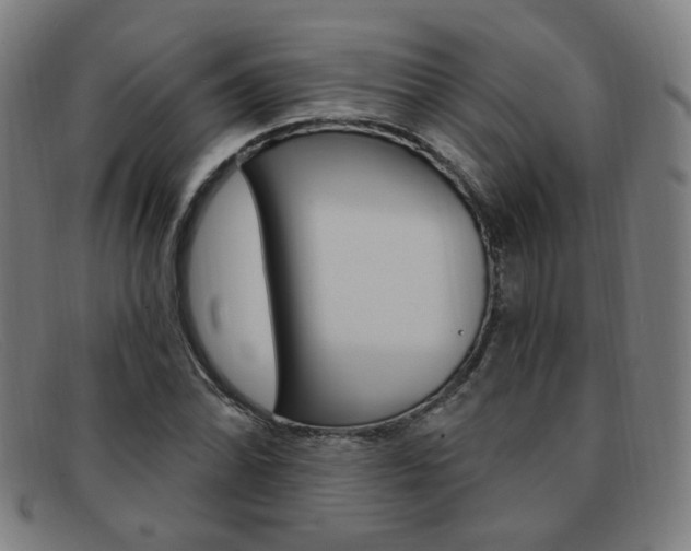 X0000092111070200709121125