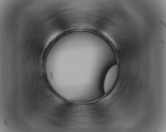 X0000092111071200709121125