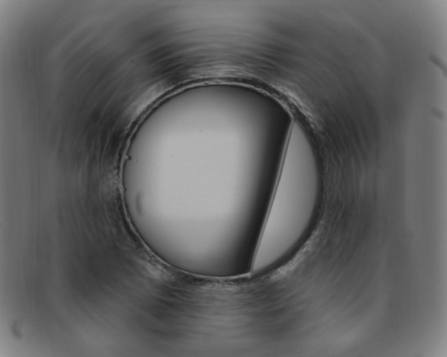 X0000092111073200709121125