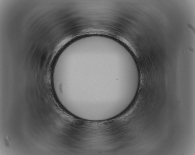X0000092111074200709121125